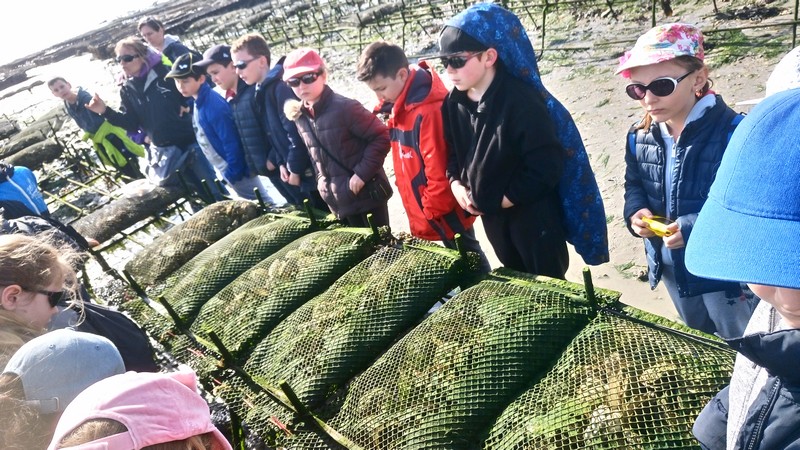 ostreiculture0028.jpg