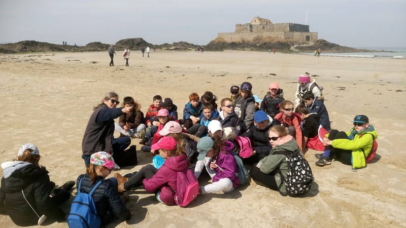 stmalo0003.jpg