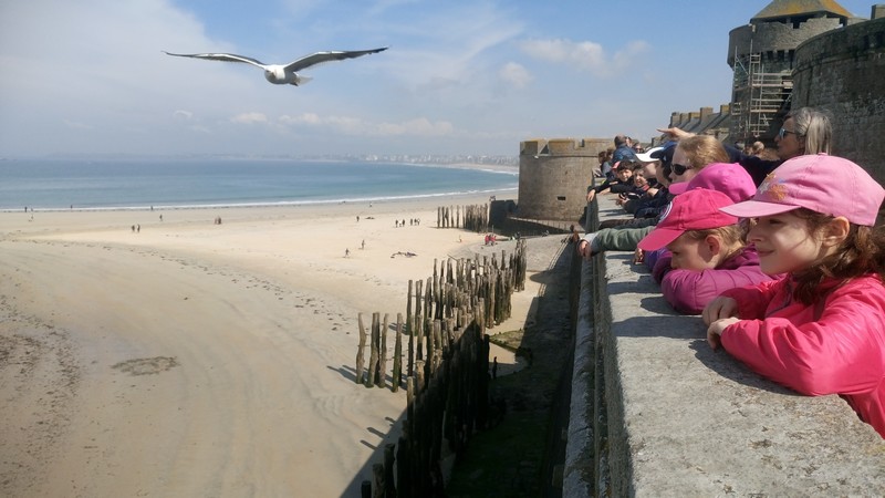 stmalo0007.jpg