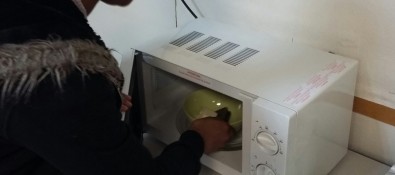 20161215_155022-1.jpg