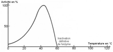 Activite_enzymatique_et_temperature.JPG