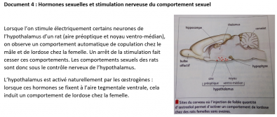 Comportement_sexuel__hormones_et_hypothalamus.png