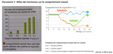 Comportement_sexuel_et_hormones.png