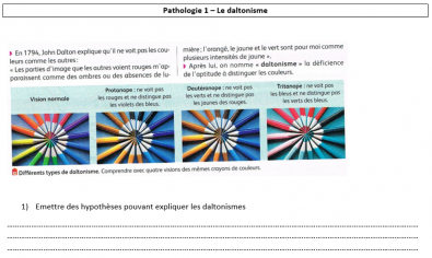 Daltonisme_hypotheses.PNG