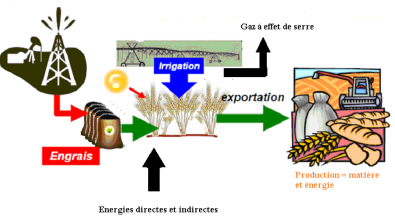 Entree_et_sortie_energie_et_matiere.png