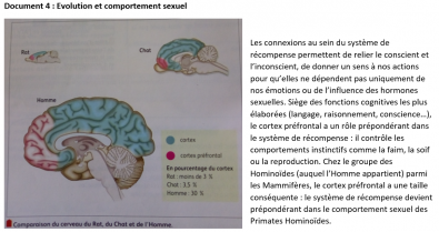 Evolution_du_systeme_de_recompense.png