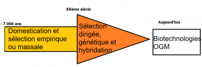 Histoire_amelioration_des_especes.PNG