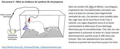 Mise_en_evidence_du_systeme_de_recompense.png