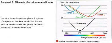 Seuil_de_sensibilite_des_cones_et_batonnets.PNG