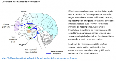 Systeme_de_recompense.png