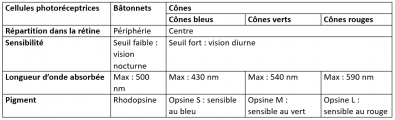 Tableau_de_comparaison_des_cellules_photoreceptrices.PNG