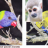 Vision_des_couleurs_differentes_de_deux_primates.png