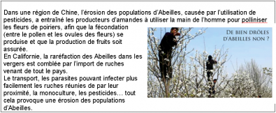 erosion_des_populations_d_abeilles.PNG