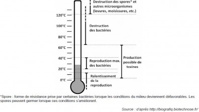 temperature_et_microorganismes.JPG