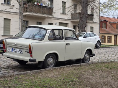 7904.jpg