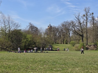 8768.jpg