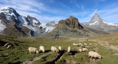 suisse-2017-_936_-copie.jpg