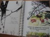 carnet de voyage 17.jpg