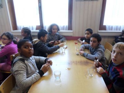 SAM_0935.JPG, mar. 2015