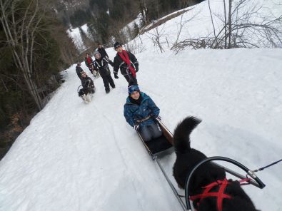 SAM_1129.JPG, mar. 2015