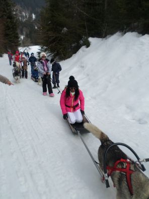 SAM_1132.JPG, mar. 2015