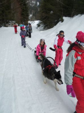 SAM_1135.JPG, mar. 2015