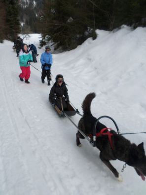 SAM_1137.JPG, mar. 2015