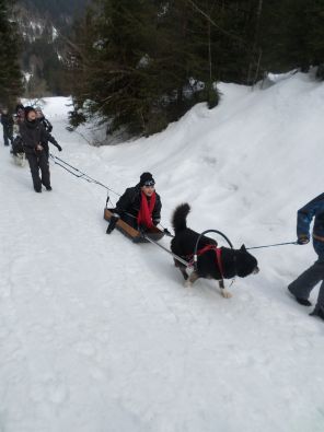 SAM_1138.JPG, mar. 2015