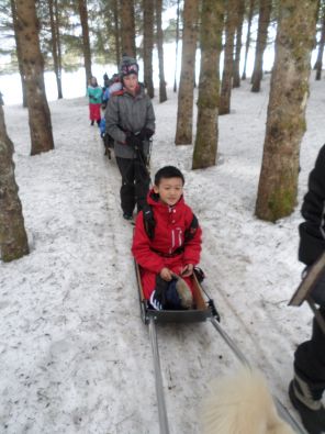 SAM_1145.JPG, mar. 2015