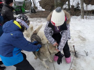 SAM_1094.JPG, mar. 2015