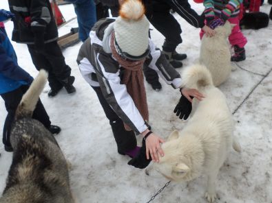 SAM_1095.JPG, mar. 2015