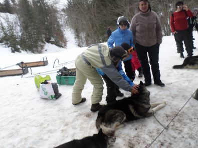 SAM_1098.JPG, mar. 2015