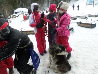 SAM_1106.JPG, mar. 2015