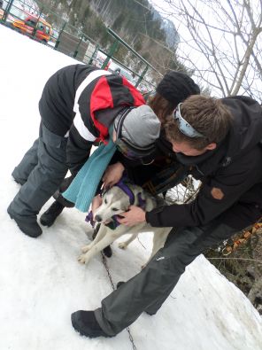 SAM_1110.JPG, mar. 2015