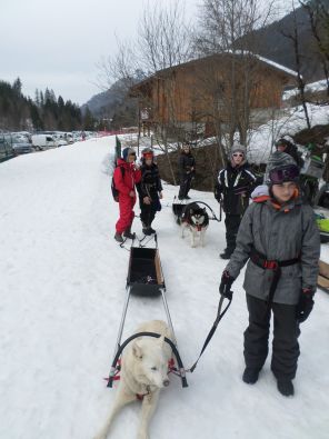 SAM_1116.JPG, mar. 2015