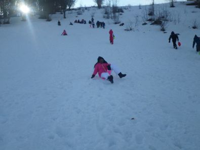 SAM_1271.JPG, mar. 2015