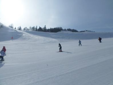 SAM_1206.JPG, mar. 2015