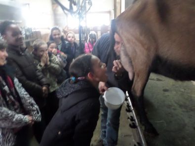 SAM_1489.JPG, mar. 2015