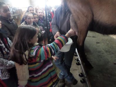 SAM_1490.JPG, mar. 2015