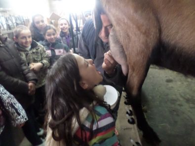 SAM_1491.JPG, mar. 2015