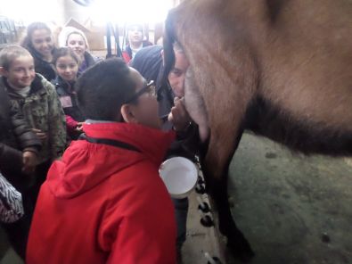 SAM_1493.JPG, mar. 2015