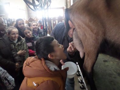 SAM_1495.JPG, mar. 2015