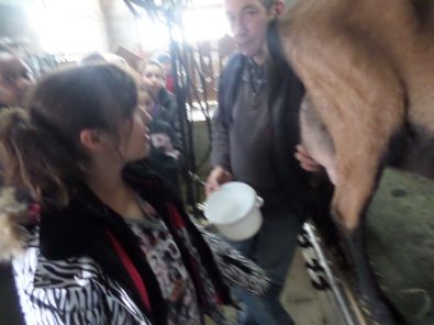 SAM_1499.JPG, mar. 2015