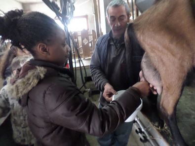 SAM_1500.JPG, mar. 2015