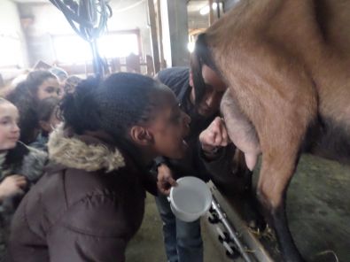 SAM_1501.JPG, mar. 2015