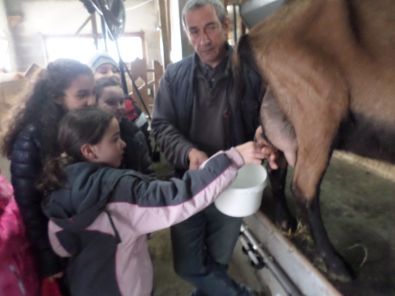 SAM_1504.JPG, mar. 2015