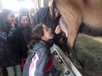 SAM_1505.JPG, mar. 2015