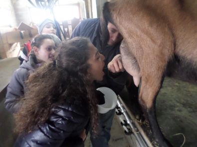 SAM_1507.JPG, mar. 2015