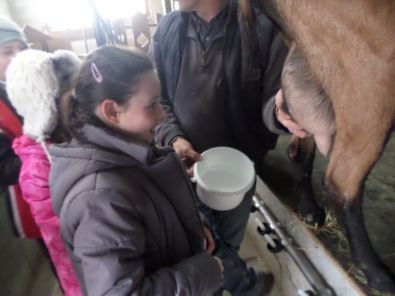 SAM_1508.JPG, mar. 2015