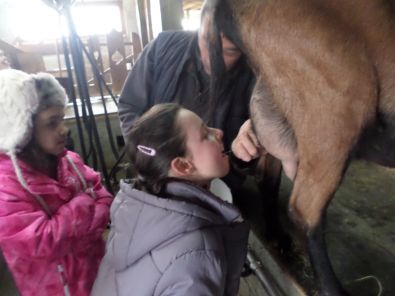 SAM_1509.JPG, mar. 2015